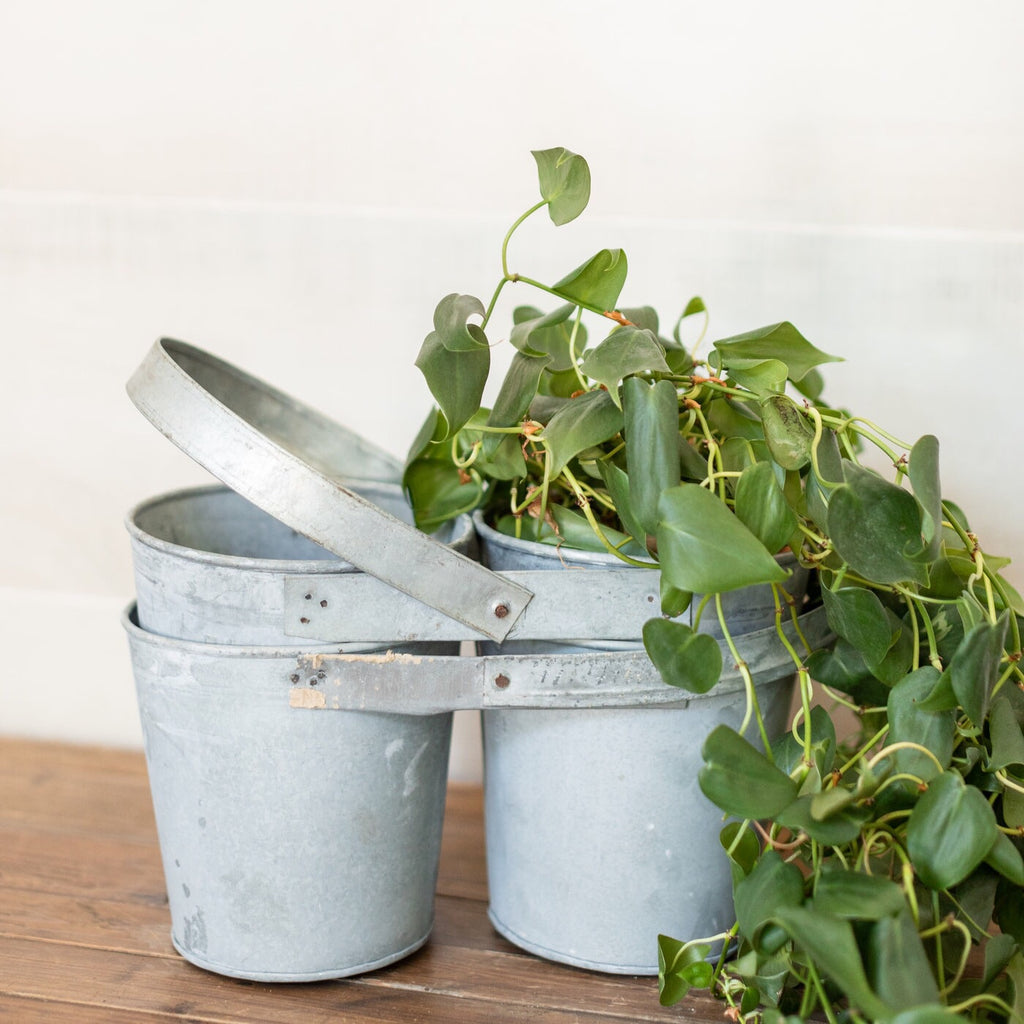 Double Planter